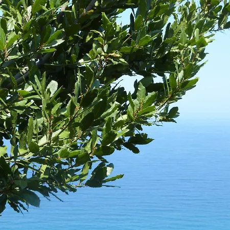 Balcony On The Rocks Agioi Saranta