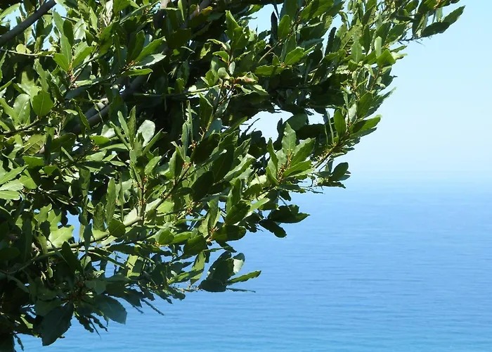 Balcony On The Rocks Agioi Saranta